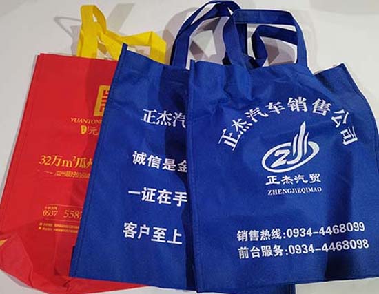 临泽无纺布袋